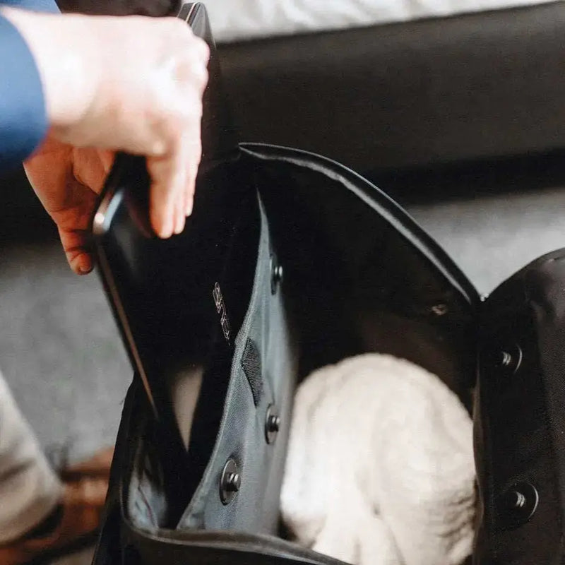 🔥 Pack smarter – travel stress-free Garment backpack Bag